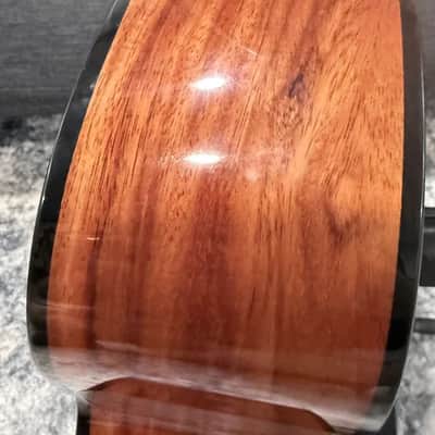 Dowina Aura - Old Stock Sitka Bearclaw Spruce/Macacuba with LR Baggs Anthem and custom Italian Hardshell Case *One-of-a-kind* image 22