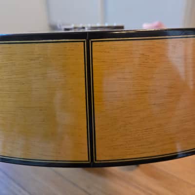 Shelton Farretta Concert Guitar 1974 - Flamenco - Cedar top, Cypress back and sides, Ebony Fretboard image 11