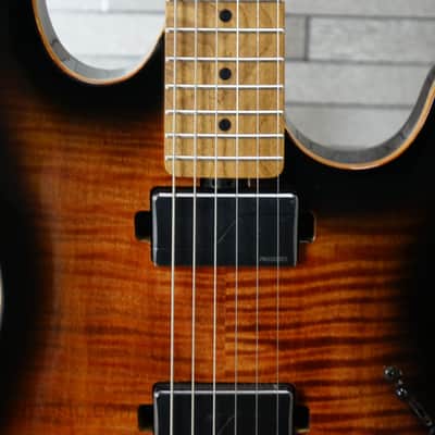 Sterling Sabre with Roasted Maple Fretboard - Cobra Burst image 4