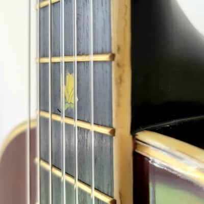 Rare Esteban Spanish Rosas Classical Guitar Character Flowers image 7