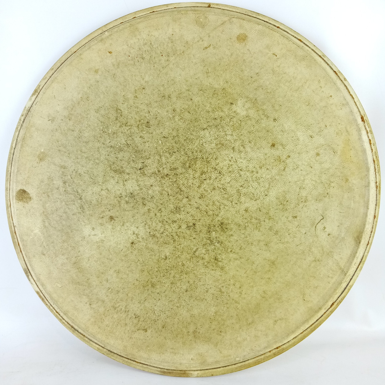 Wilson 14" Economy-Spade Stamp Batter Calf Skin Snare/Tom Drum Head Vintage 20s — main photograph