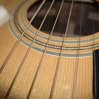 Washburn D13N - Natural Spruce Dreadnought image 6