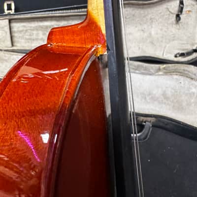 Dipalo Student Violin image 10