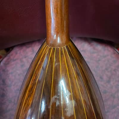 Washburn Cremonatone 215 Bowlback Mandolin w Original Case 1890s-1910s image 8