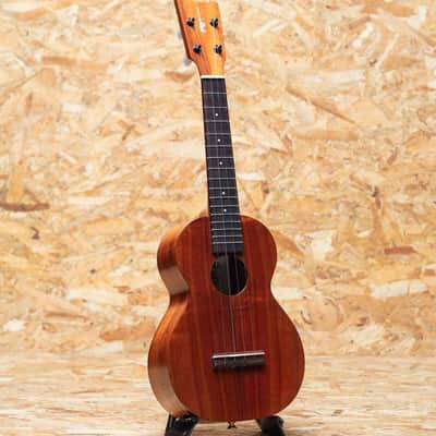 Kamaka HF-2 Concert 2023 image 3