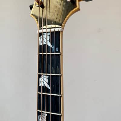 Santa Cruz FTC - 32 Natural - Blonde 1981 with OHSC image 16
