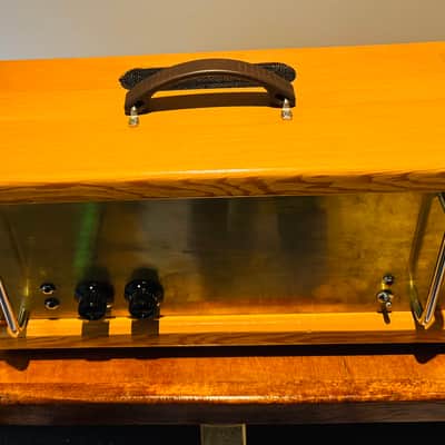 Carrion Slave Amplifier 120 image 7