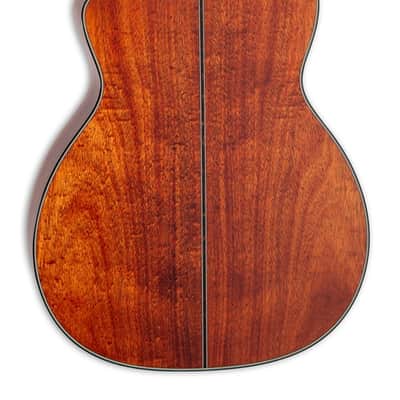 Takamine LTD2025 Gloss Antique Evergreen w/Case image 2