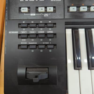 Roland A-800PRO 61-Key Keyboard image 1