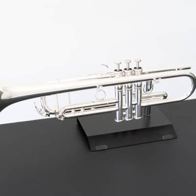 Yamaha YTR-8335GS Xeno Bb Trumpet with Gold Brass Bell (SN 4803xx) image 10