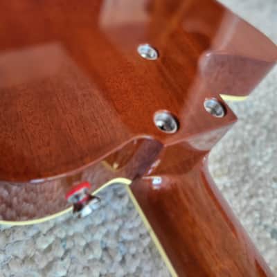 Yanuziello Viceroy Dark Autumn Burst image 7