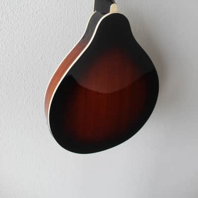 Brand New Ibanez M510E Acoustic/Electric Mandolin - Brown Sunburst High Gloss image 8