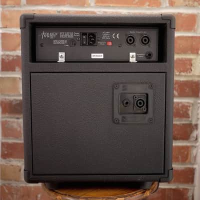 Raezer's Edge  One-6 COMBO Speaker Cabinet image 5