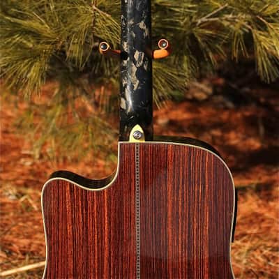Alvarez Yairi Dy98 Modulus Graphite neck image 7