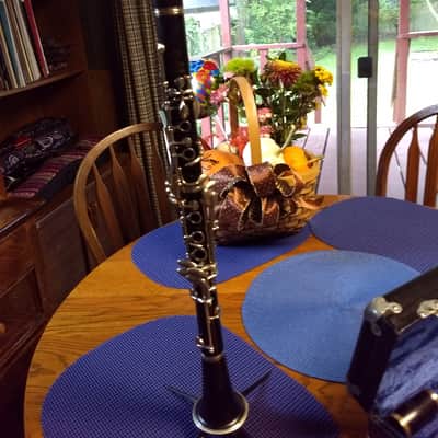 Penzel-Mueller Artist Professional Bb Clarinet image 4