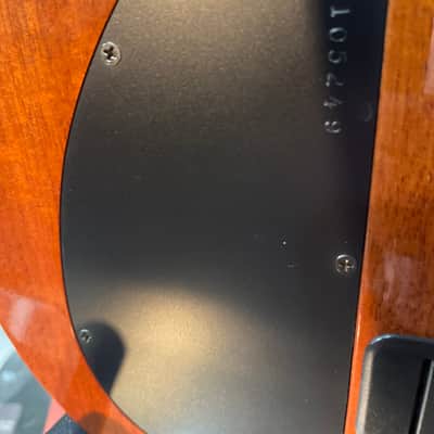 Carvin NS-1 5A Flame Sunburst - Sunburst image 8