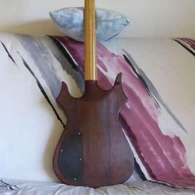 Lashbrook Handmade Custom Guitar Inspired by Jerry Garcia's Cripe Guitars with Naturacoustic Pickup image 6