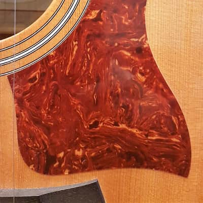 Taylor 310CE Limited Edition - Beautiful 3 Piece Back of Flamed & Quilted Maple image 11