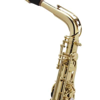 Selmer Axos Alto Saxophone image 5