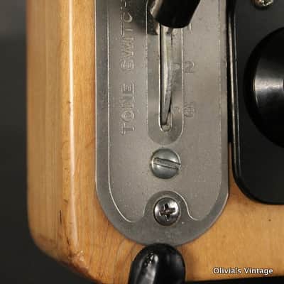 Alkire 10-String Eharp Steel Guitar 1960 Natural image 19
