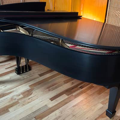 Steinway & Sons B 1959 - Ebony Satin #362672 Bild 12