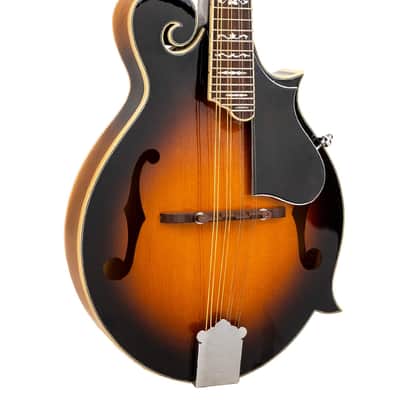Gold Tone GM-35 F-Style Mandolin image 1