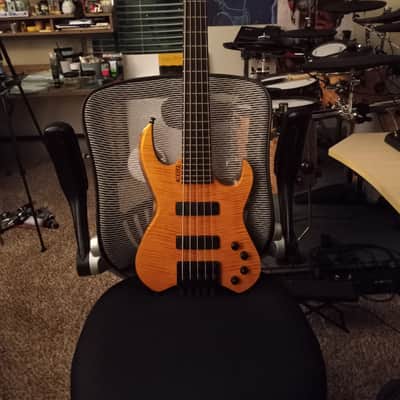 Kiesel Vader 5 String Bass Gold image 1