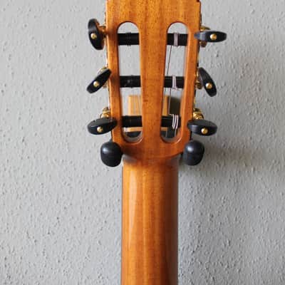 Brand New Cordoba C9 Cedar Top Classical Guitar image 8