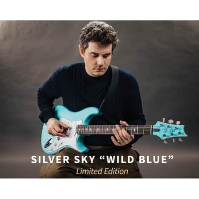 PRS Silver Sky Limited Edition Wild Blue 2026 image 8