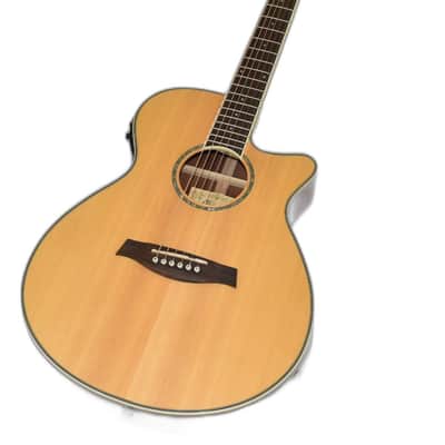 IBANEZ AEG10 (AEG10E, AEG10II) acoustic guitars for sale in USA