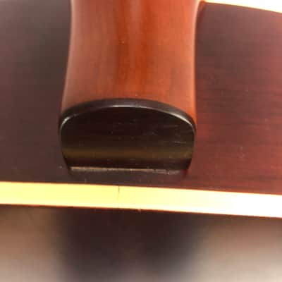 Seagull Coastline S12 Cedar 29358 12-String Acoustic Guitar image 10