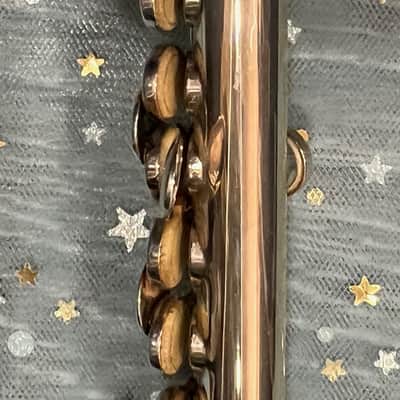 WILLIAM S. HAYNES Db PICCOLO 1923 - STERLING SILVER image 15