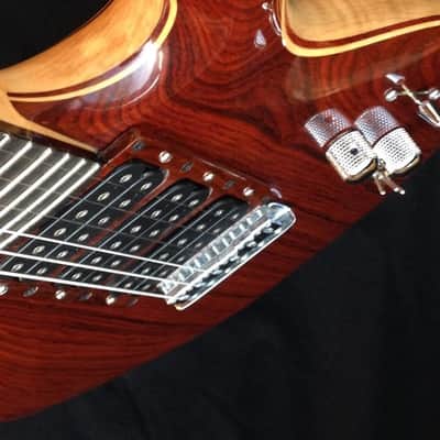 Waldschmidt Guitars-Jerry Garcia Tiger Clone image 10