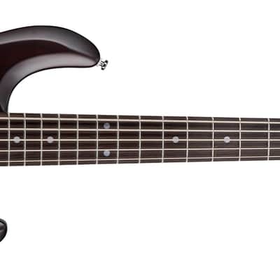 Sterling - Stingray Ray5 Bass-Walnut Satin image 1
