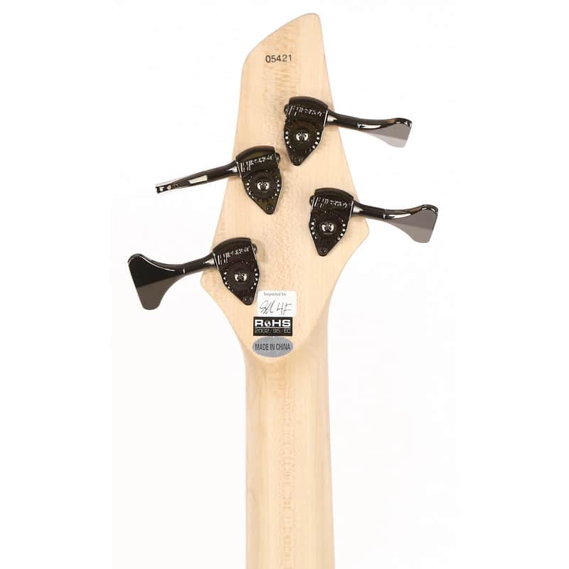 Immagine Dingwall NG2 Adam "Nolly" Getgood Signature 4-String  - 5