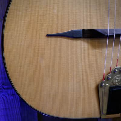 Christelle Caillot Petite Bouche Gypsy Jazz #46 2016 - Natural image 4