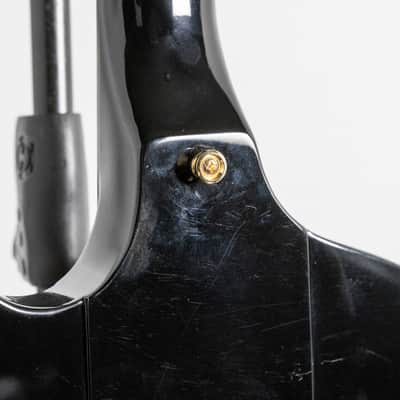 Epiphone Rex Brown Thunderbird Bass, Ebony | Demo image 19