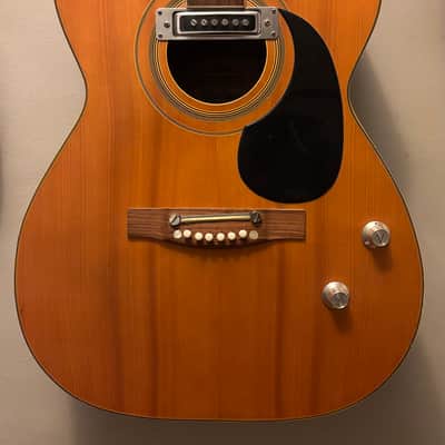 Rare - F.A.M.E. - 747 Chet Atkins Acoustic Electric - OG Case - Project / Repair image 2