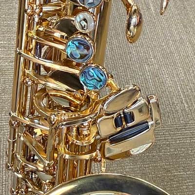 2008 Cannonball Sceptyr Alto Sax, w/ OHSC, 2- Mouthpieces, 2- Straps, Cork Grease Execellent Condition image 17