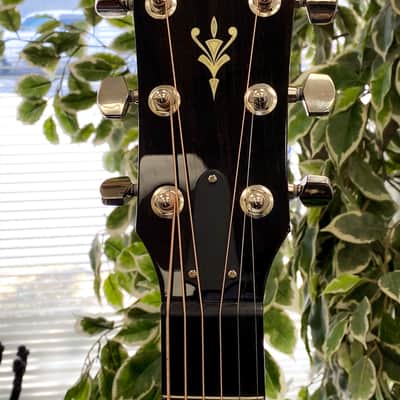 Taylor 524ce Grand Auditorium Cutaway Mahogany Ebony Binding Acoustic-Electric Guitar w/Case image 8