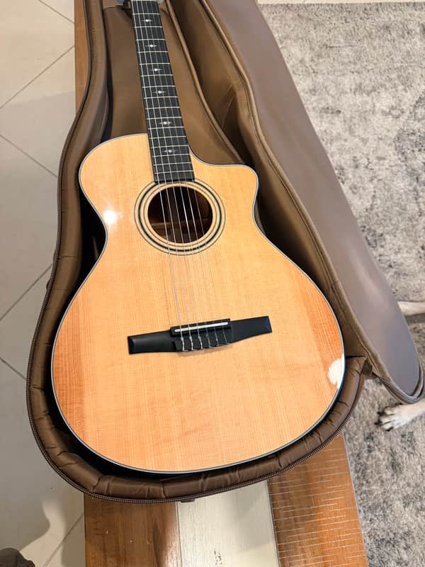 Taylor 312ce-N