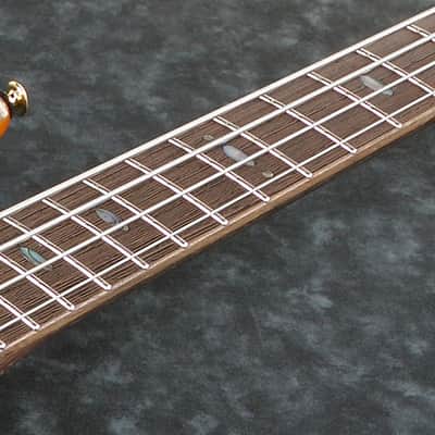 Ibanez SRF705 BBF Bass Workshop Fretless 5 String Electric Bass. Brown Burst Flat image 11