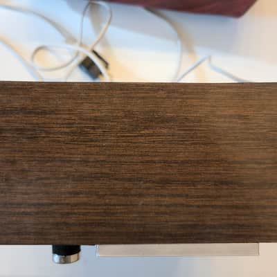 Radel DX-Soft Analog Saarang/Tampura with Original Case and Manual image 4