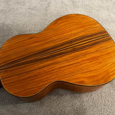 Vintage 1979 Giannini AWN 71 Classical Acoustic Guitar Brazilian Rosewood image 8