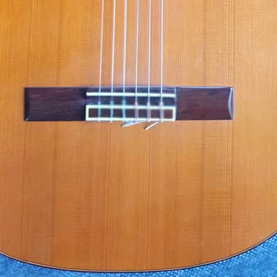 M G Contreras guitare d'étude 1983 - image 5