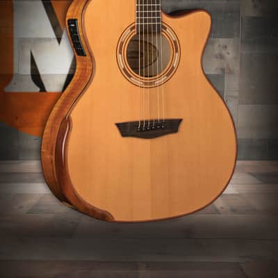 Washburn Comfort Deluxe 66 G66SCE Acoustic-Electric - Spalted Maple (WCG66SCE-O-U) image 1