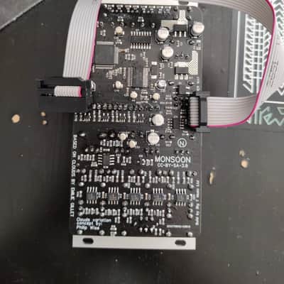 Big T Monsoon Mutable Instruments Clouds Clone Eurorack Module image 5
