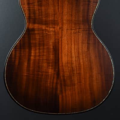 Taylor Builder's Edition K24CE '24 image 5