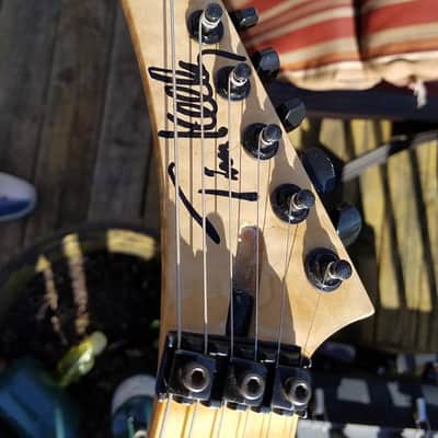 Robin  Medley  1990 owned by Tim Kelly of Slaughter image 3