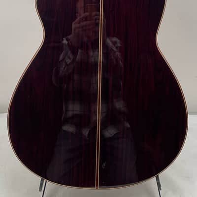 Montalvo 10 String Classical Guitar 2023 - Nitro Gloss image 3